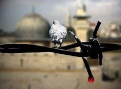فلسطین محور عمده مسائل جهان اسلام